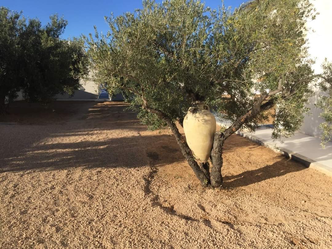 Djerba - Midoun El Hadadda Vente Appart. 5 pices+ Maison d'hte avec 5 suites