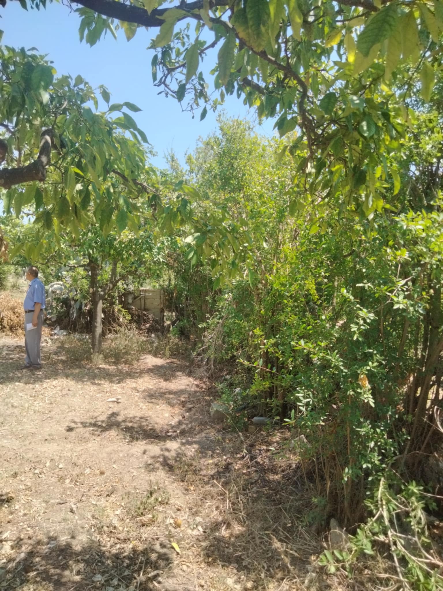 Vente&nbsp;Surfaces - Tunisie