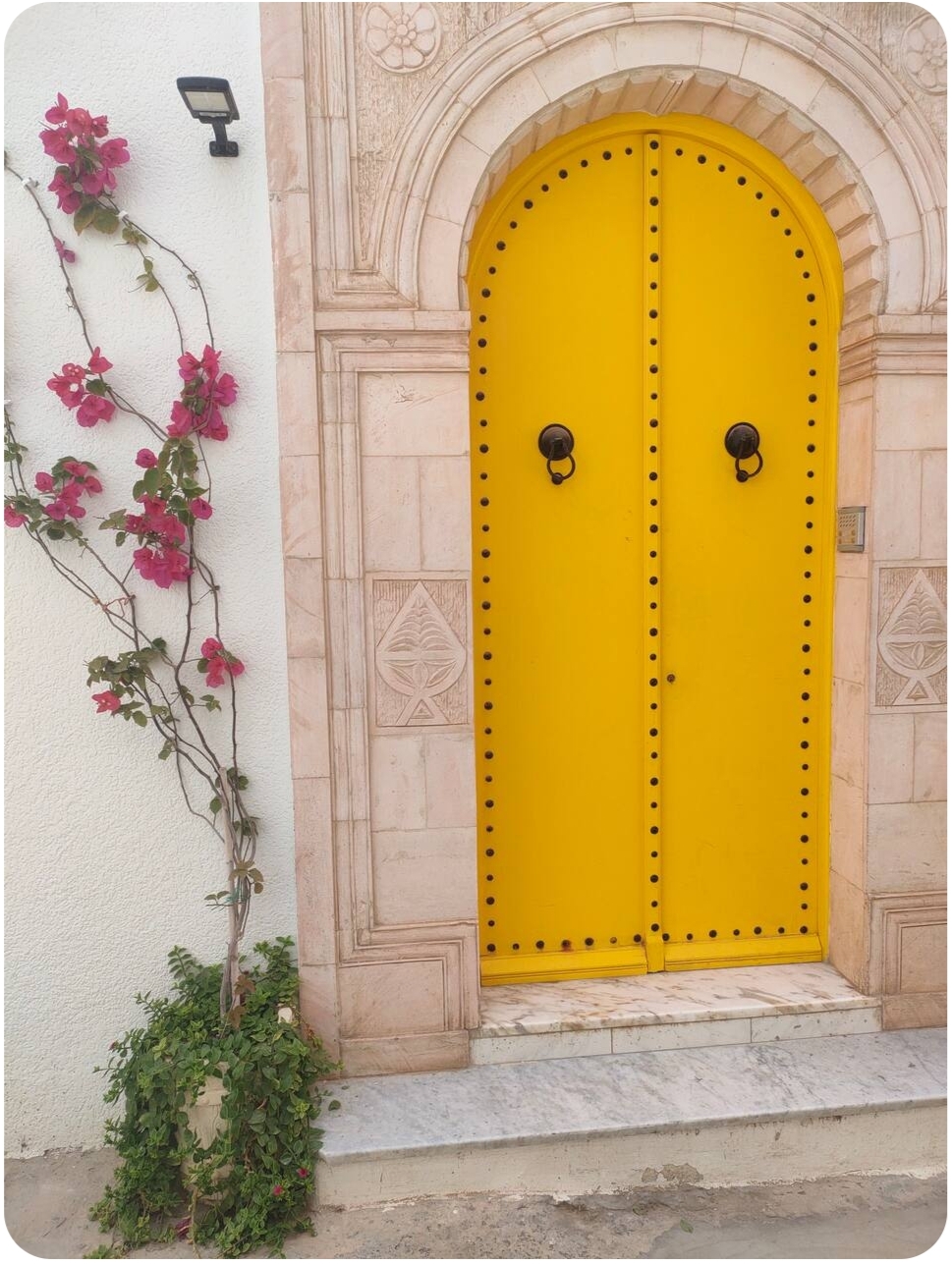 Mahdia Mahdia Location Appart. 2 pices Charmant appartement s1  la corniche de mahdia
