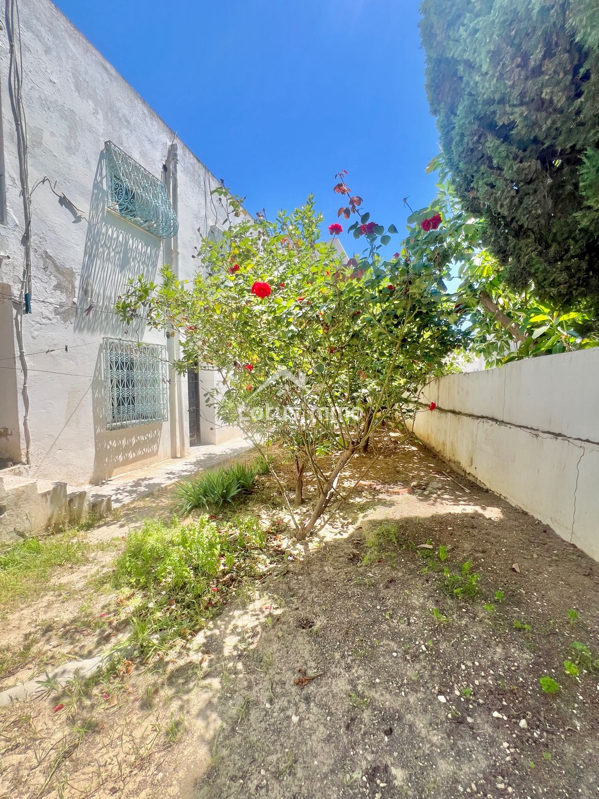 Vente Maisons - Tunisie