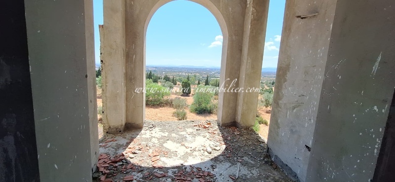 Hammamet Hammamet Vente Maisons V260 villa dino