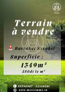 Vente Surfaces - Tunisie