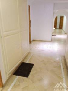 Ariana Ville Cite Ennasr 2 Vente Appart. 1 pice Appartement s1 ennaser 2 ref247a