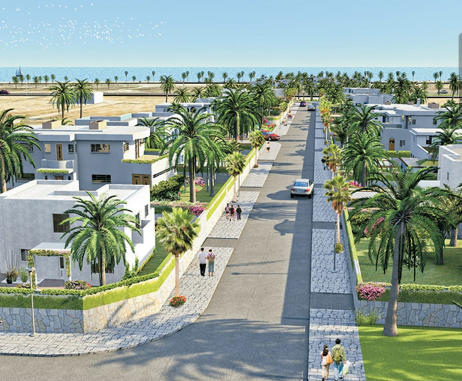 Gabes Sud Mtorrech Vente Autre Deux titres bleus