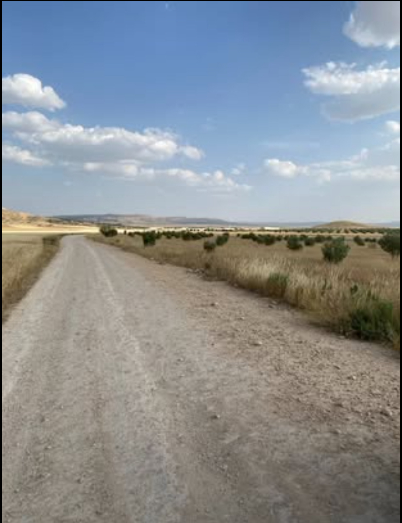 Thala Thala Terrain Terrain agricole Terrain agricole de 7 hectares thala jarda