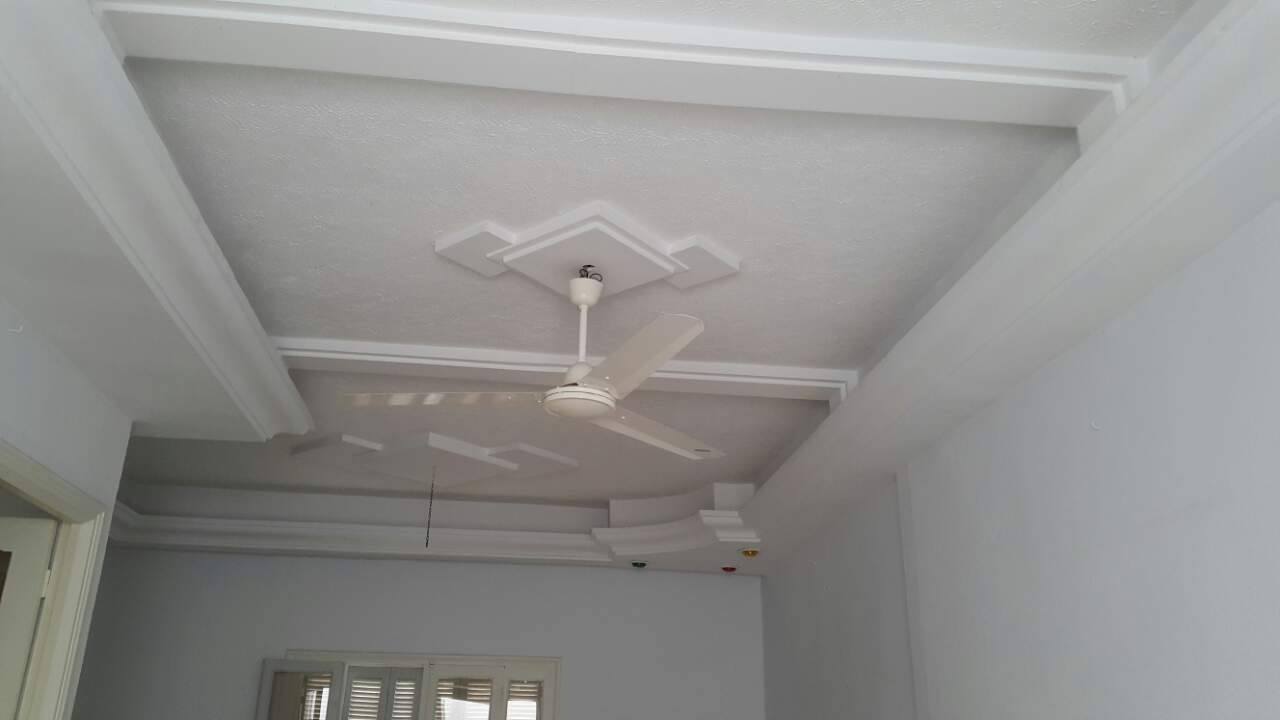 Sakiet Eddaier Essaltania Vente Maisons Maison a deux tages  saltnia titre fonc