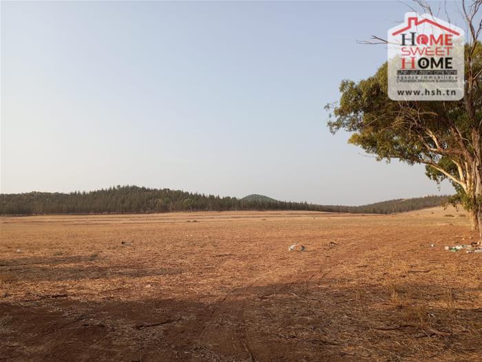 Vente Surfaces - Tunisie