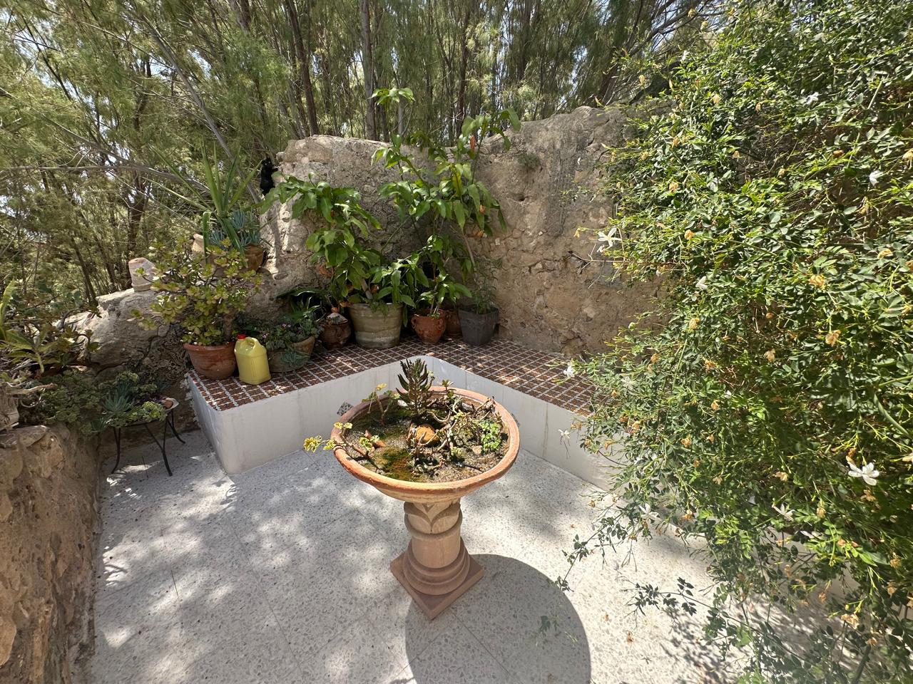 Hammamet&nbsp;Hammamet&nbsp;Vente&nbsp;Maisons&nbsp;Dar l'artiste