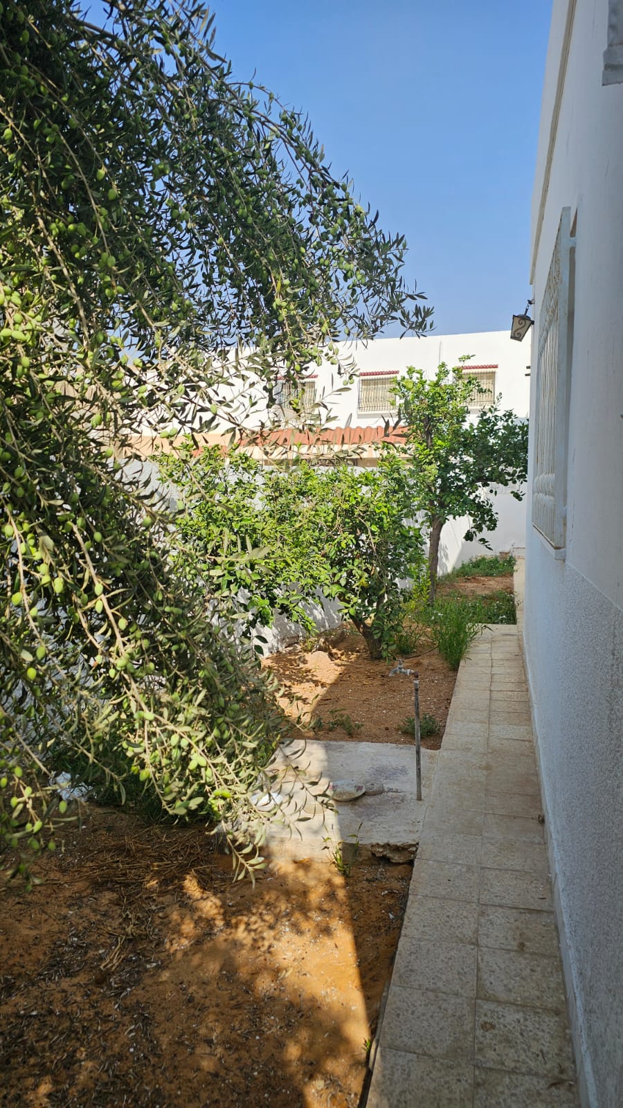 Sakiet Eddaier Sakiet Eddaier Vente Maisons Villa sur terrain 470m2