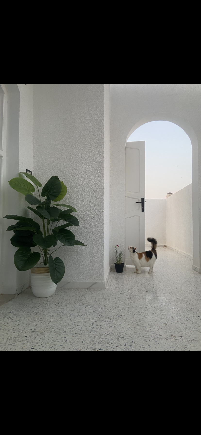 Sousse Riadh Sousse Riadh Vente Maisons Villa  sousse a vdr