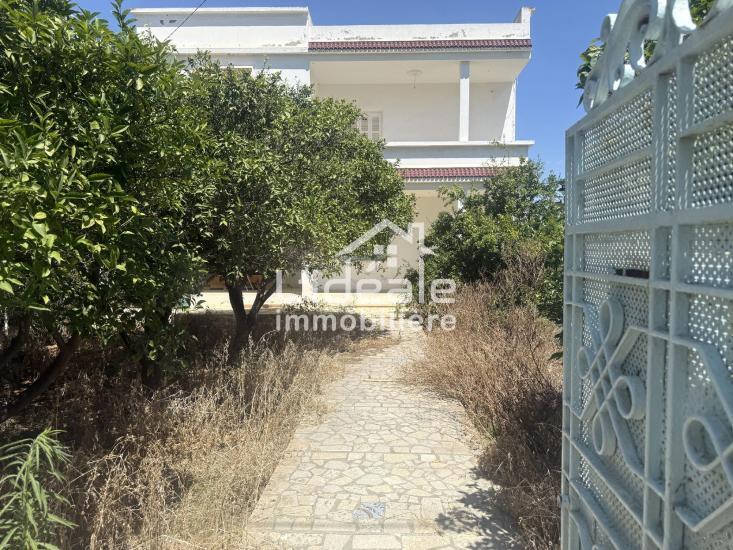 Vente Maisons - Tunisie