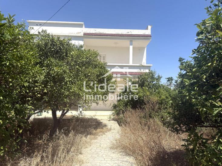 Nabeul Nabeul Vente Maisons Belle demeure  nabeul