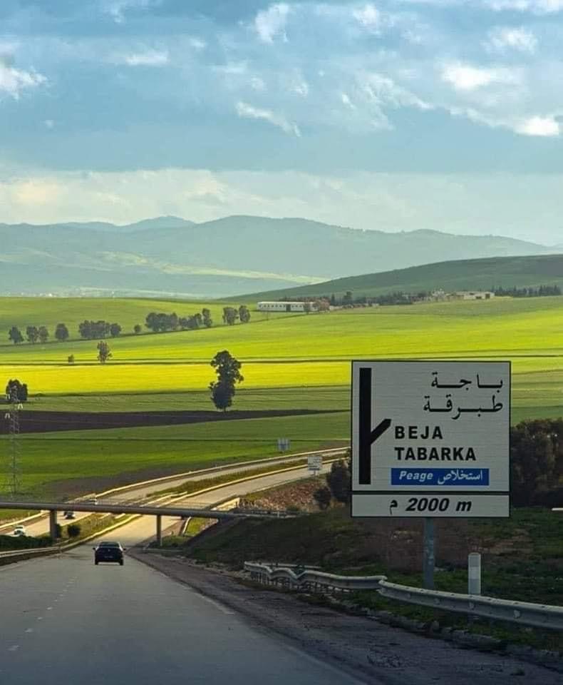 Tabarka Tabarka Vente Appart. 3 pices Plateforme pour un appartement 3 pices