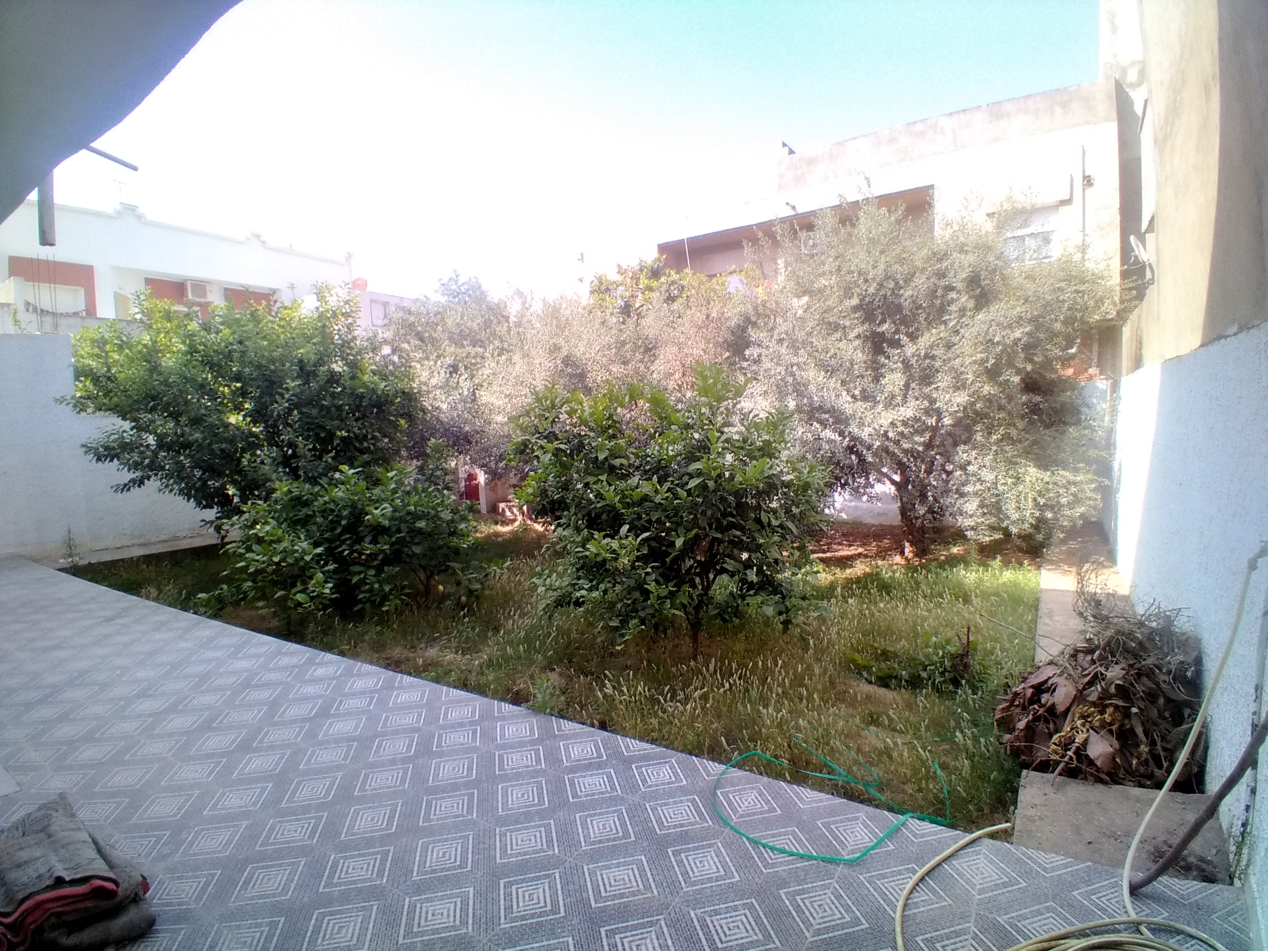 Kelibia Kelibia Vente Maisons Deux maisons et deux garages