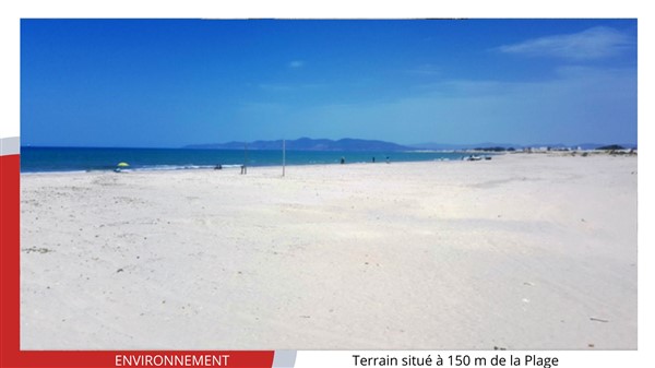 Soliman Soliman Terrain Terrain nu Terrain de 400m2  680 tnd le m2