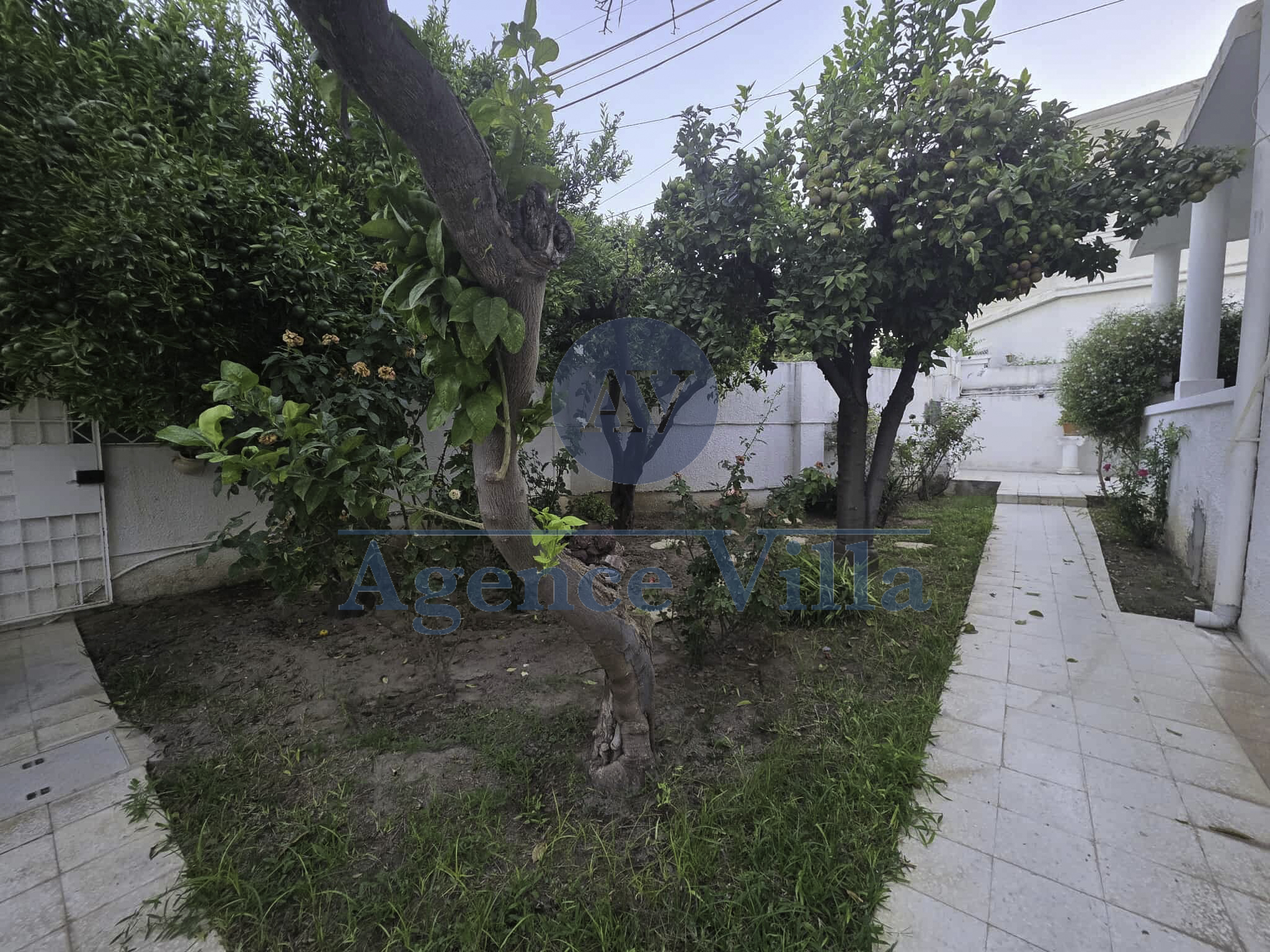 Vente Maisons - Tunisie