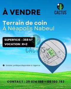 Vente Surfaces - Tunisie