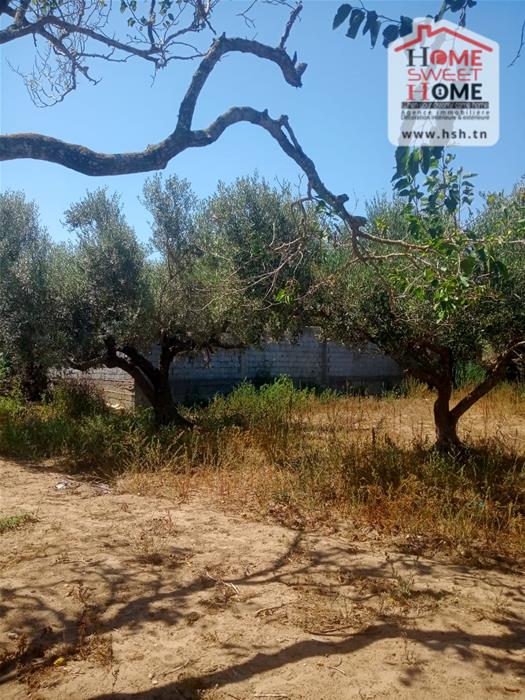 Vente Autre - Tunisie