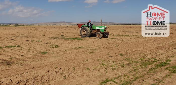 Vente Surfaces - Tunisie