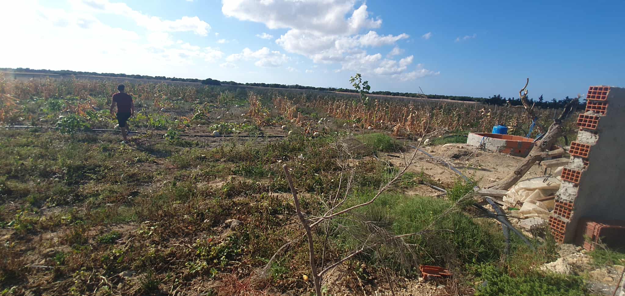 El Haouaria Charaf Vente Surfaces Ferme  chraf el haouaria