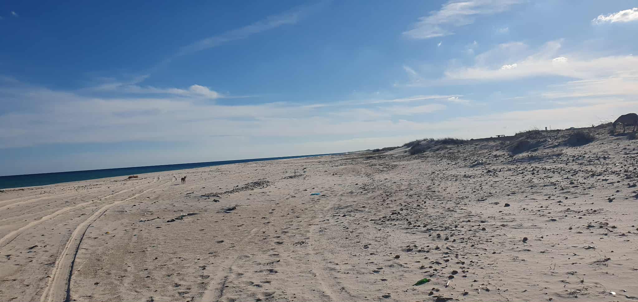 Menzel Temime Menzel Horr Vente Surfaces 2 hectares situ sur la mer menzel horr