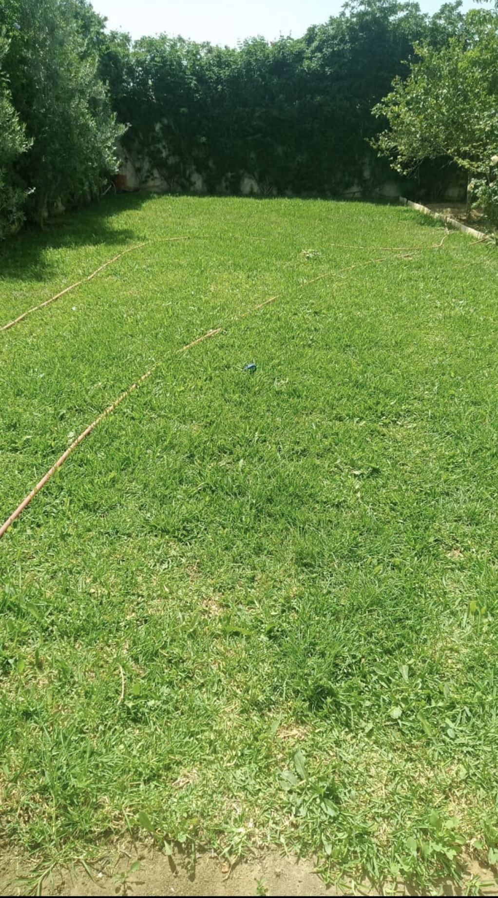 Sidi Thabet Borj Youssef Vente Maisons Villa de charme