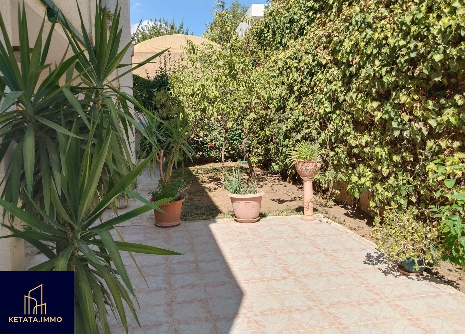 Vente Maisons - Tunisie