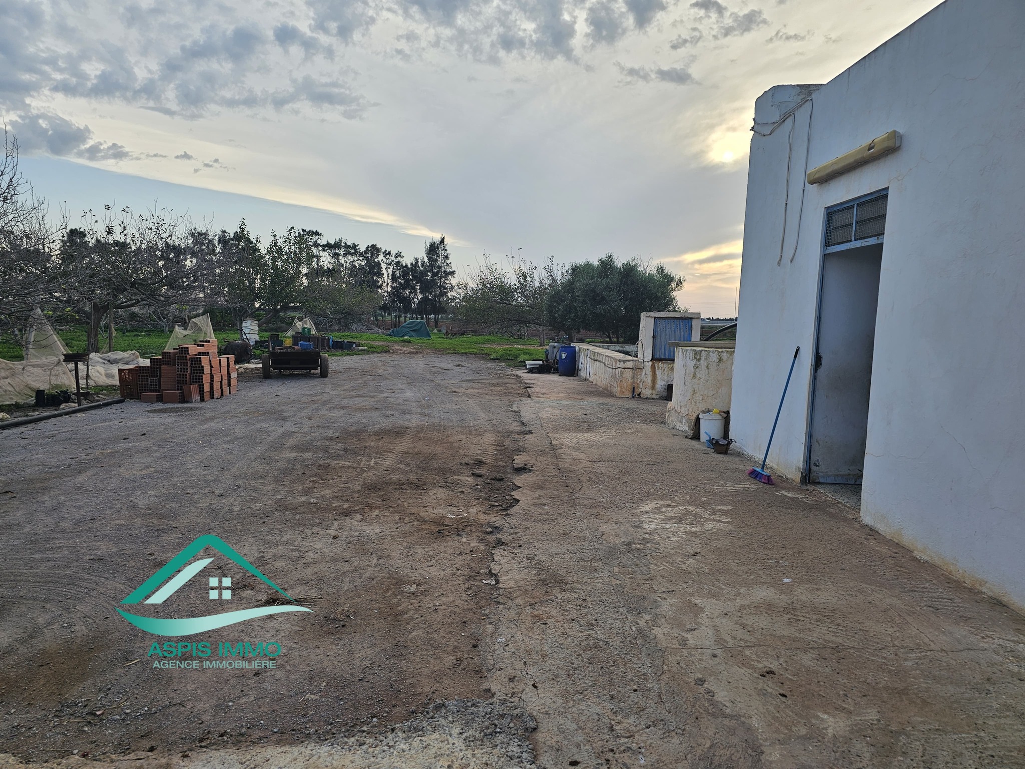 Menzel Temime Lebna Vente Surfaces Vt141 ferme 10 hectares sur la route  libna