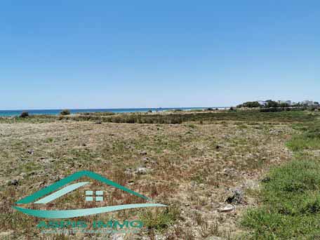 Kelibia Kelibia Vente Surfaces Vt475 terrain 1017 m2  ain grinz kelibia