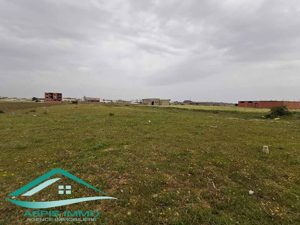 Kelibia Kelibia Vente Surfaces Vt595 terrain 359 m2 jinen el mansourah kelibia