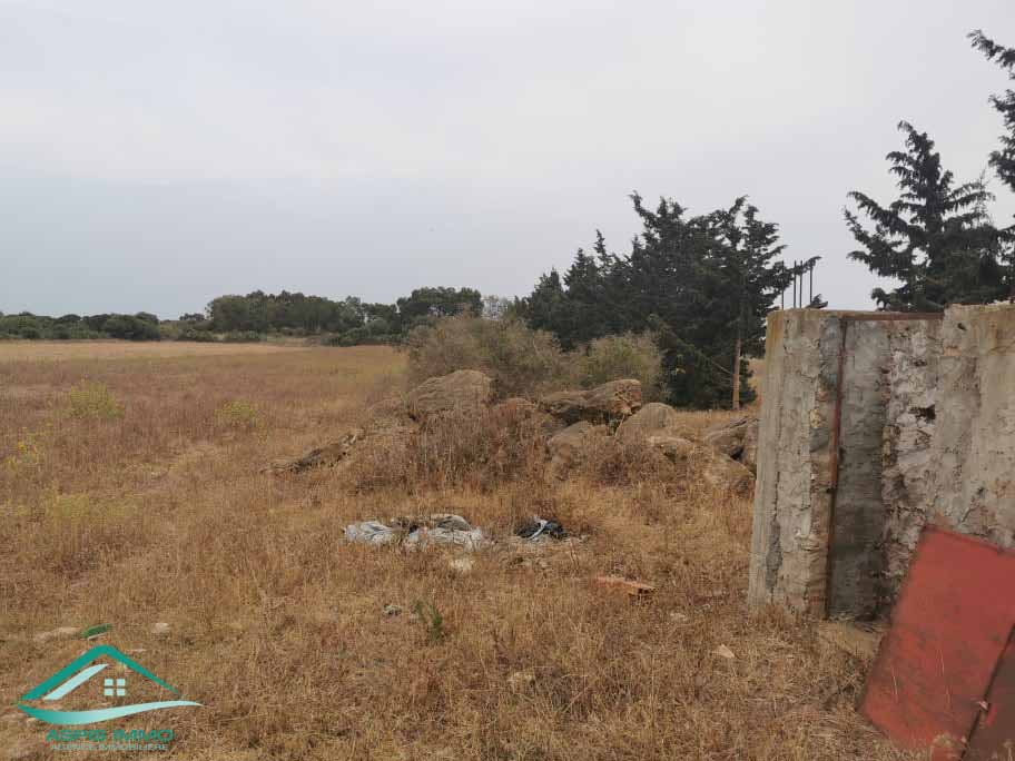 Kelibia Kelibia Vente Surfaces Vt623 terrain 5000 m2  kelibia