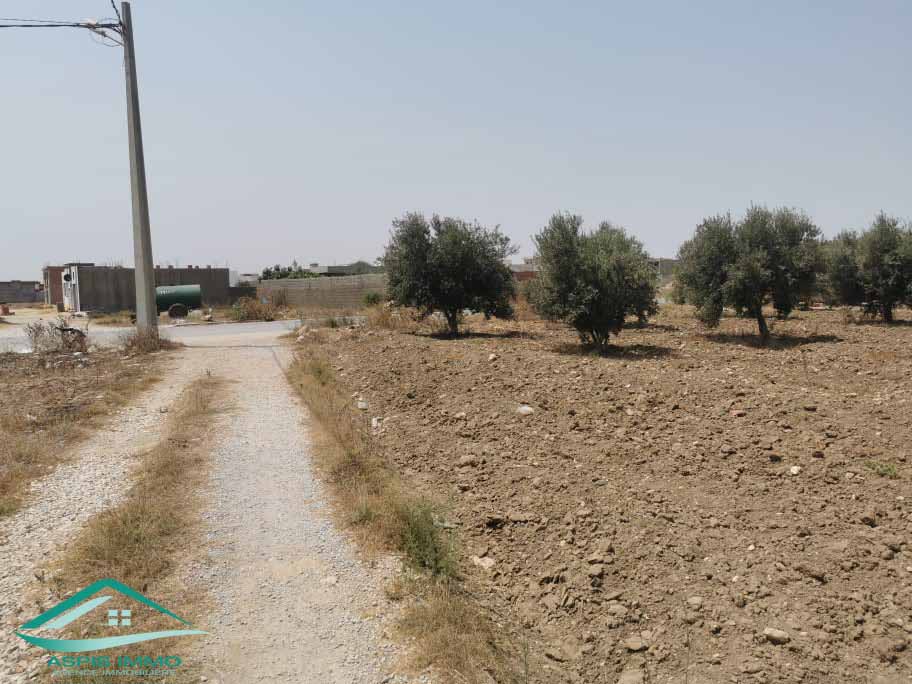 Kelibia Kelibia Vente Surfaces Vt638 terrain 250 m2  cit mirds 2 kelibia