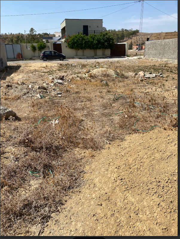 Vente Surfaces - Tunisie