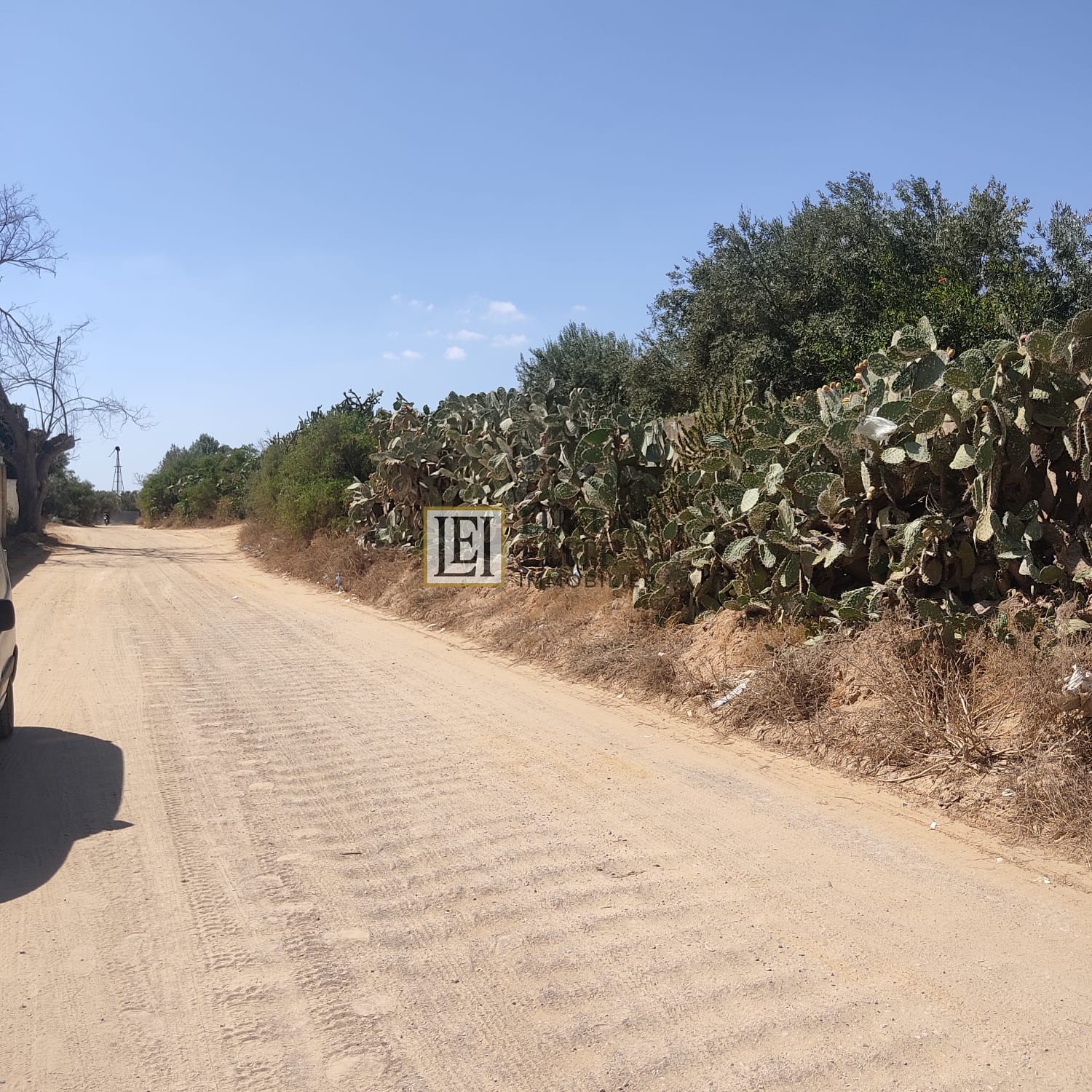 Hammamet Cite Chraf Terrain Terrain nu Terrain 700 m2  hammamet