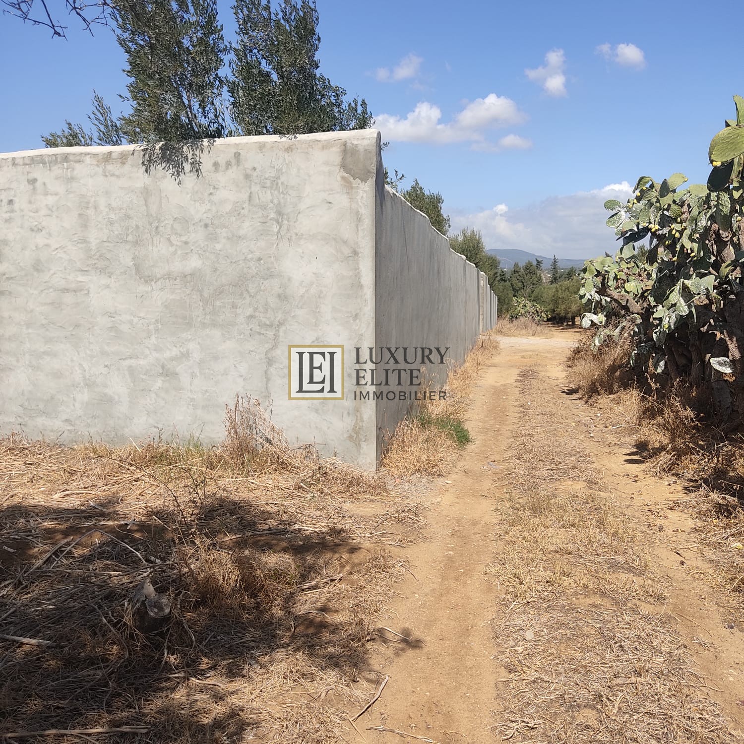 Hammamet Cite Chraf Terrain Terrain nu Terrain 700 m2  hammamet