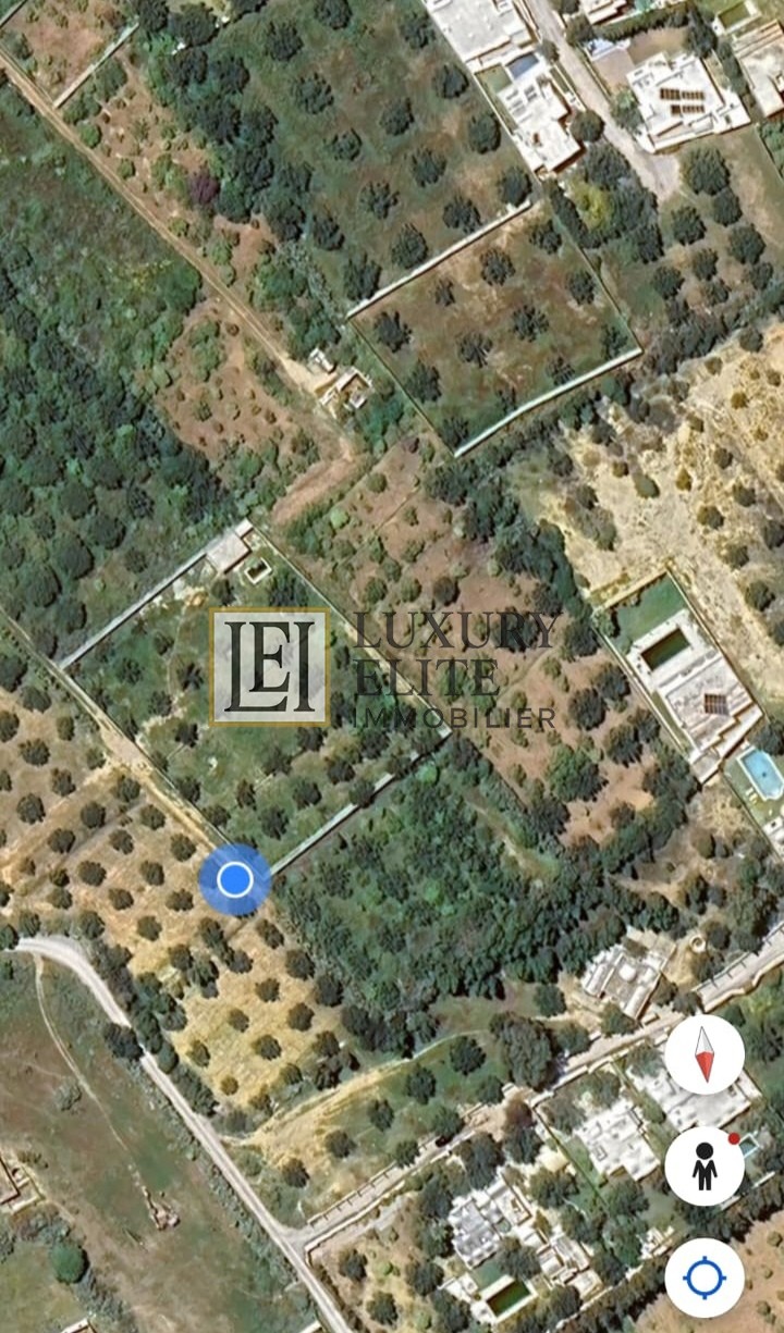 Hammamet Cite Chraf Terrain Terrain nu Terrain 700 m2  hammamet