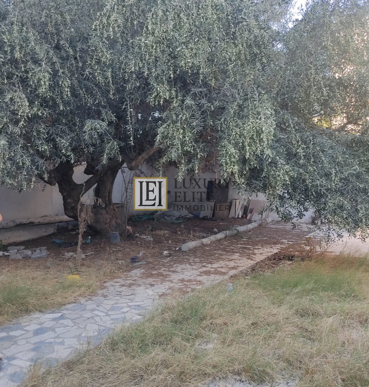 Hammamet&nbsp;Hammamet&nbsp;Vente&nbsp;Maisons&nbsp;Terrain 717m2 � hammamet zone r�sidentielle pris�e