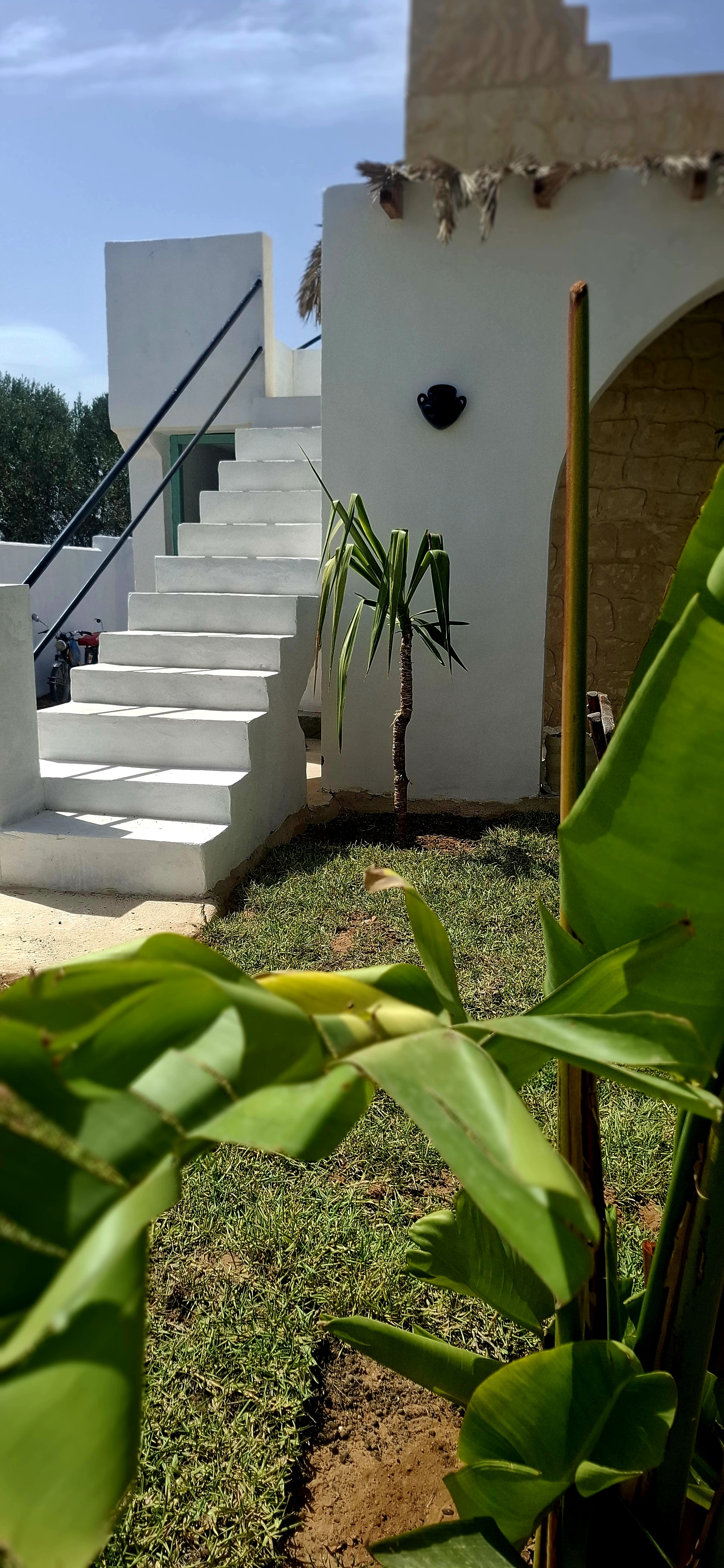 Hammamet Bir Bouregba Vente Maisons Magnifique villa rustique a hammamet