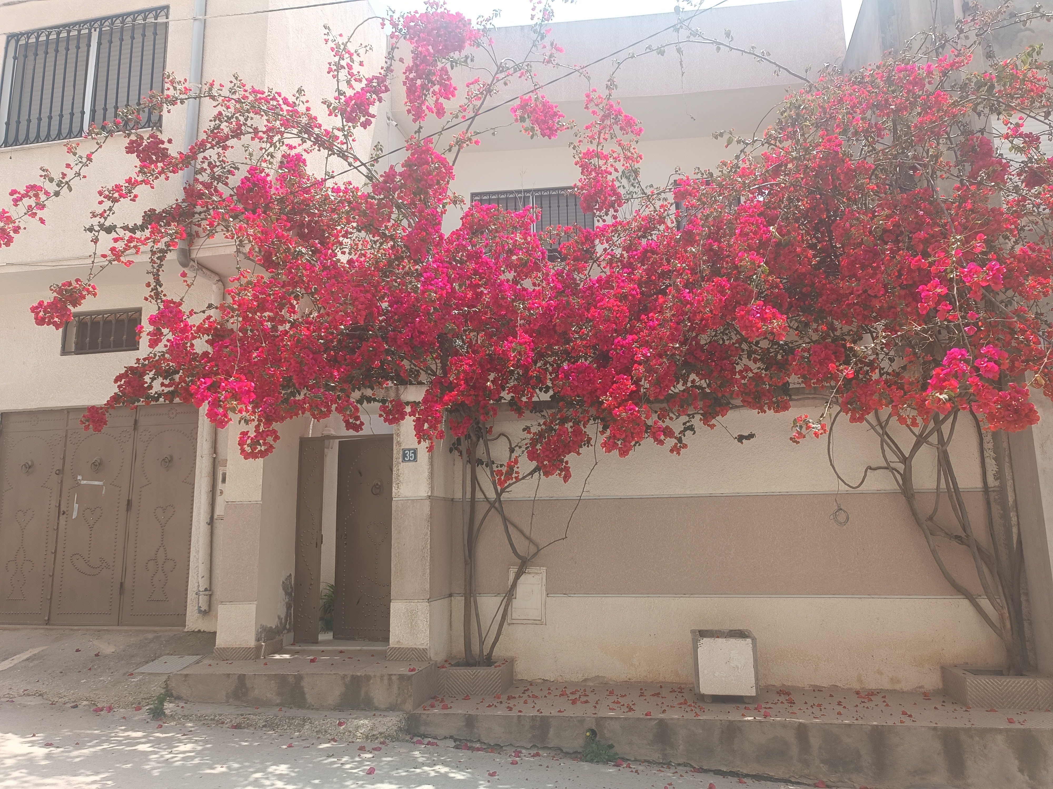 El Omrane Superieur El Omrane Superieur Vente Maisons Maison s5  omran suprieur
