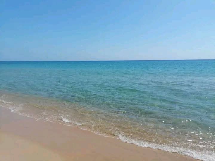 Vente Appart. 2 pièces - Tunisie