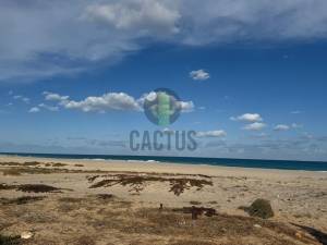 Nabeul Nabeul Vente Surfaces   terrain de 1492m  daroufa ref604a