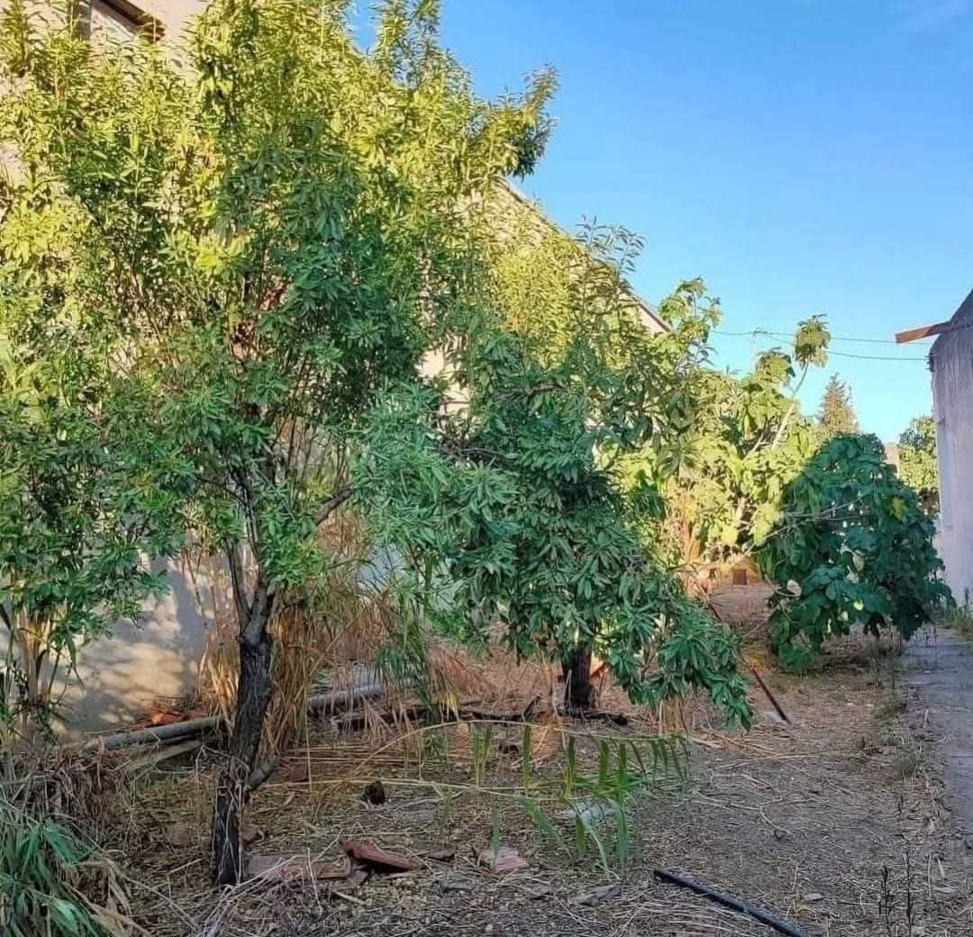 Utique Ain Ghelal Vente Maisons Immeuble magnifique  ain ghlel