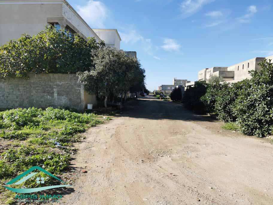 Kelibia&nbsp;Kelibia&nbsp;Vente&nbsp;Surfaces&nbsp;Vt677 terrain 468 m2 � cit� riadh kelibia