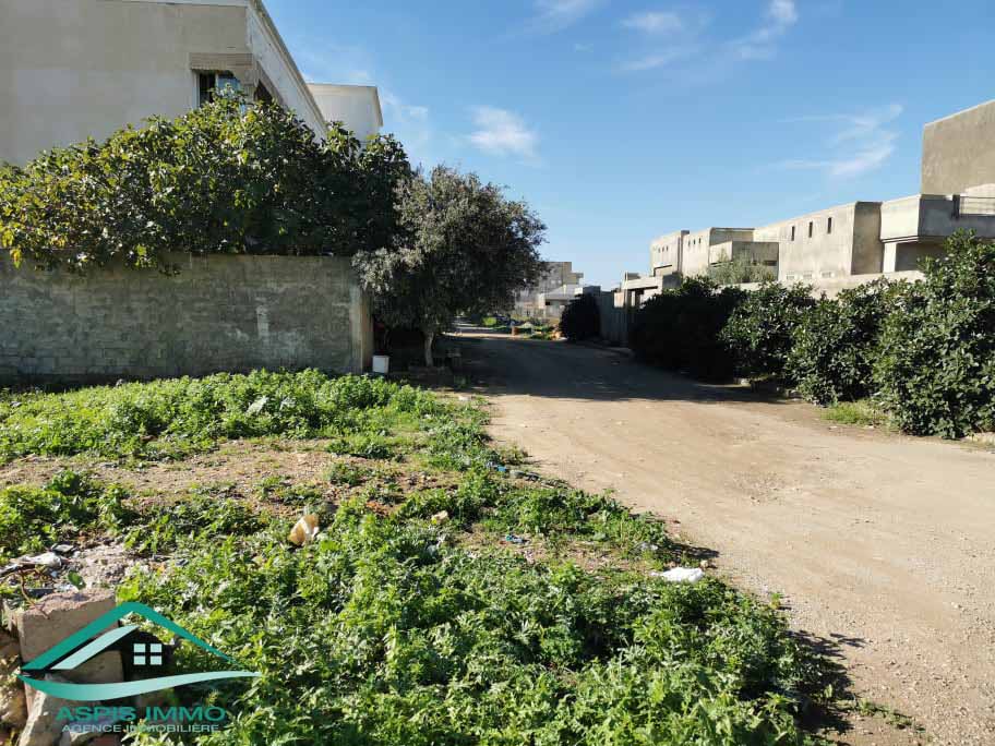Kelibia&nbsp;Kelibia&nbsp;Vente&nbsp;Surfaces&nbsp;Vt677 terrain 468 m2 � cit� riadh kelibia