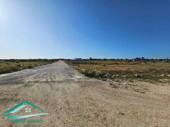 Kelibia&nbsp;Kelibia&nbsp;Vente&nbsp;Surfaces&nbsp;Vt736 terrain 2835 m2 sur la route � kelibia