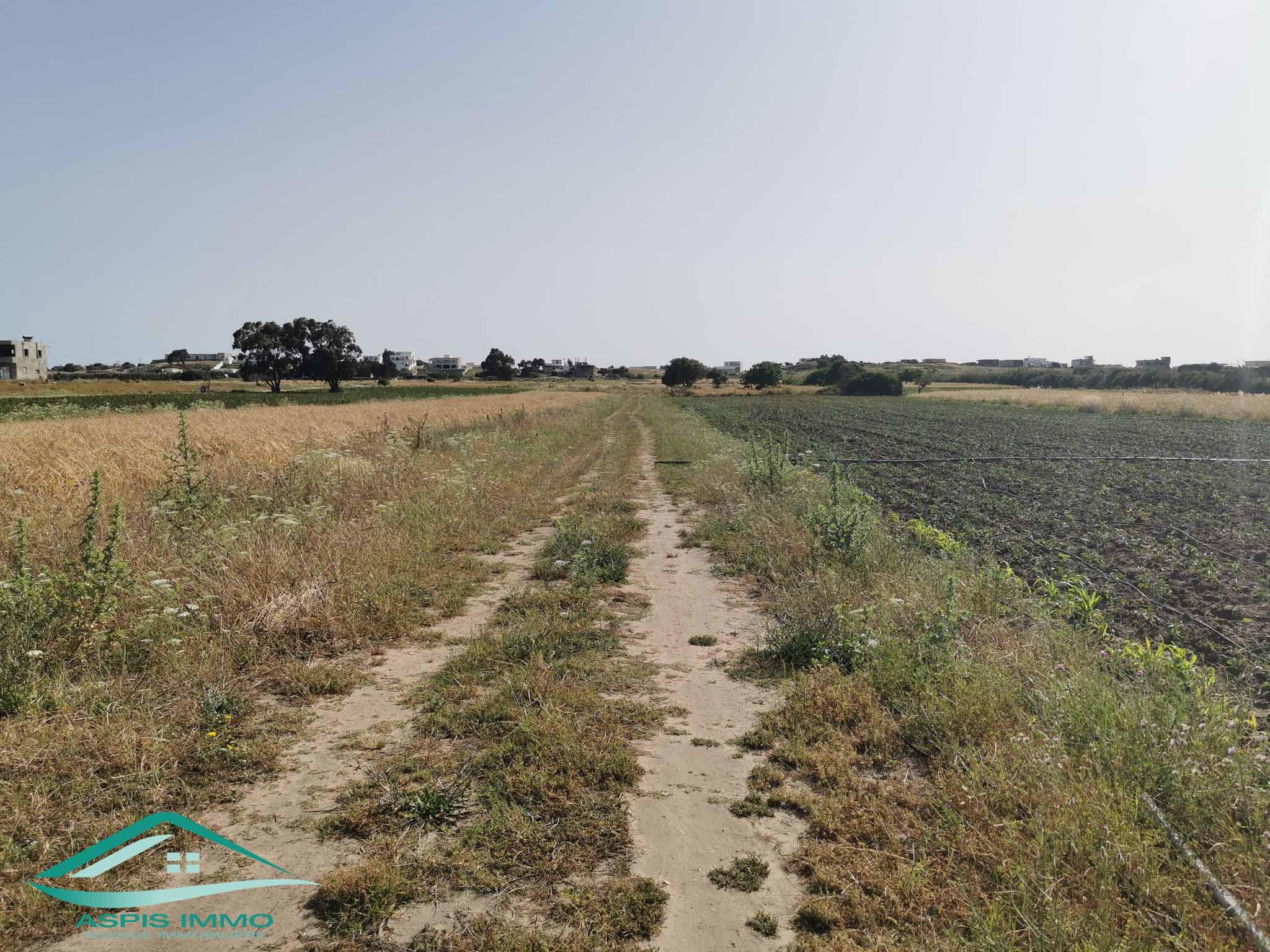 Kelibia Kerkouane Vente Surfaces Vt747 terrain  500 mtres de plage kerkouene