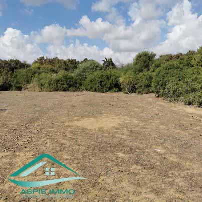 Kelibia&nbsp;Kelibia&nbsp;Vente&nbsp;Surfaces&nbsp;Vt758 terrain agricole 7226 m2 � kelibia