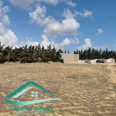 Kelibia&nbsp;Kelibia&nbsp;Vente&nbsp;Surfaces&nbsp;Vt758 terrain agricole 7226 m2 � kelibia