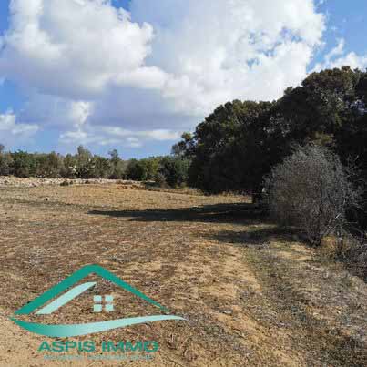 Kelibia&nbsp;Kelibia&nbsp;Vente&nbsp;Surfaces&nbsp;Vt758 terrain agricole 7226 m2 � kelibia
