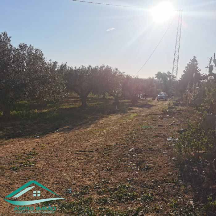 Kelibia&nbsp;Kelibia&nbsp;Vente&nbsp;Surfaces&nbsp;Vt773 terrain agricole 5 337 m2 � kelibia